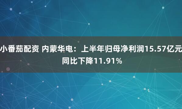 小番茄配资 内蒙华电：上半年归母净利润15.57亿元 同比下降11.91%